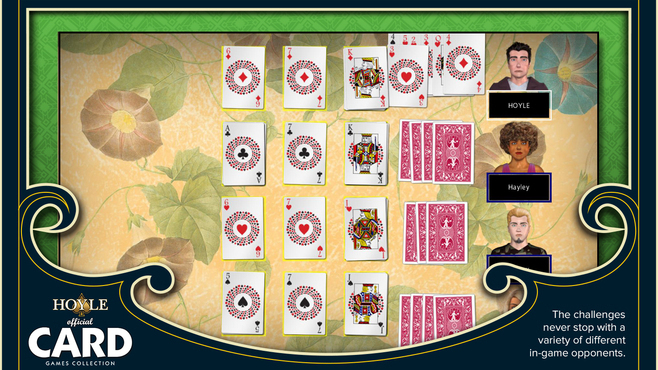 Hoyle Official Card Games Screenshot 2