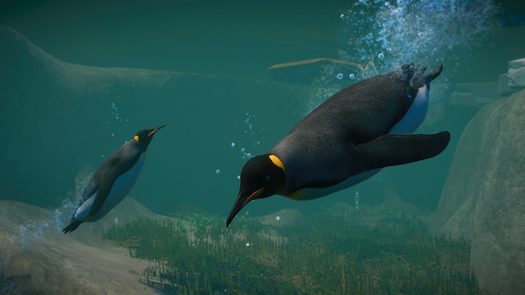 Planet Zoo: Aquatic Pack Screenshot 4