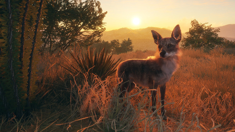 theHunter: Call of the Wild™ - Rancho del Arroyo Screenshot 9