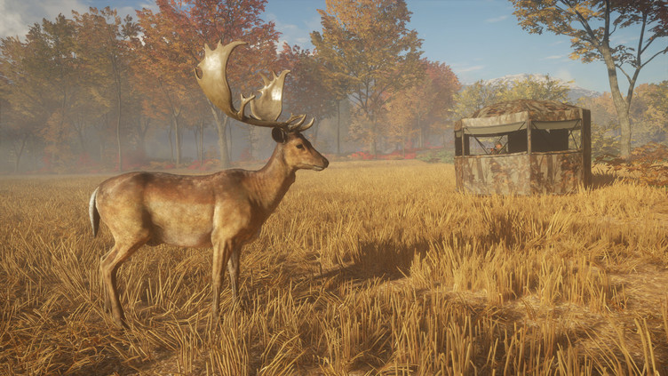 theHunter: Call of the Wild™ - Tents & Ground Blinds Screenshot 5