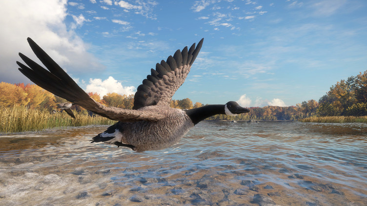 theHunter: Call of the Wild™ - Wild Goose Chase Gear Screenshot 7