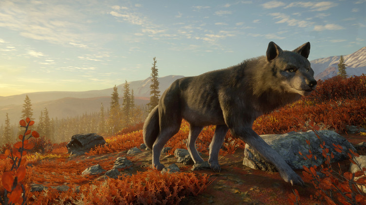 theHunter: Call of the Wild™ - Yukon Valley Screenshot 3
