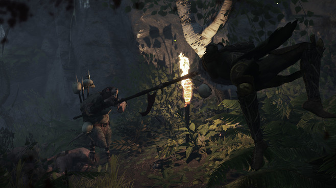 Warhammer: End Times - Vermintide Collector's Edition Screenshot 3