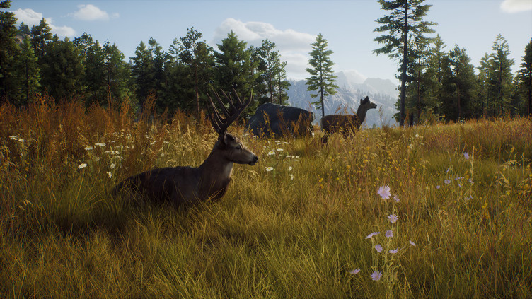 Way of the Hunter Elite Edition Screenshot 5