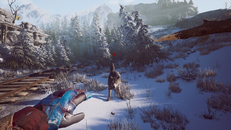 Winter Survival Screenshot 15