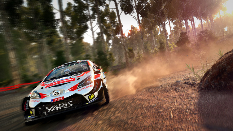 WRC 8 FIA World Rally Championship - Deluxe Edition Screenshot 7