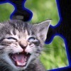 Kitty Cat: Jigsaw Puzzles