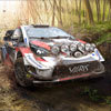 WRC 9 (Epic)