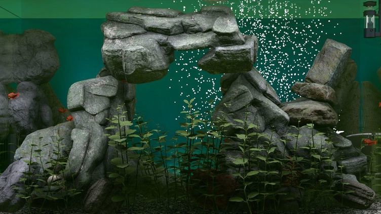 Biotope Aquarium Simulator Screenshot 2