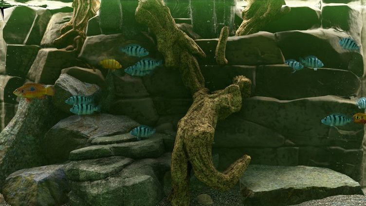 Biotope Aquarium Simulator Screenshot 1