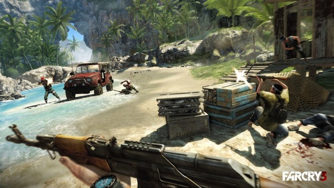 Far Cry® 3 Screenshot 9