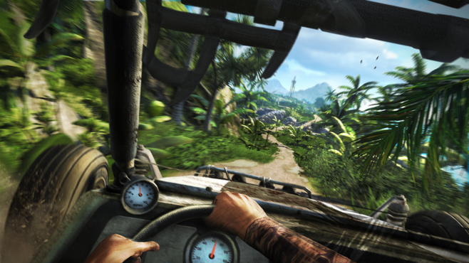 Far Cry® 3 Screenshot 10