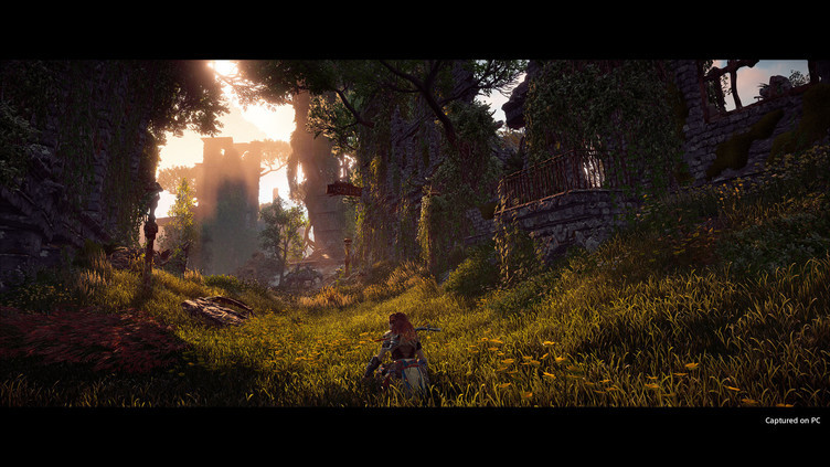 Horizon Zero Dawn™ Complete Edition Screenshot 4