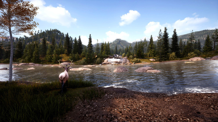 Hunting Simulator 2 Bear Hunter Edition Screenshot 2
