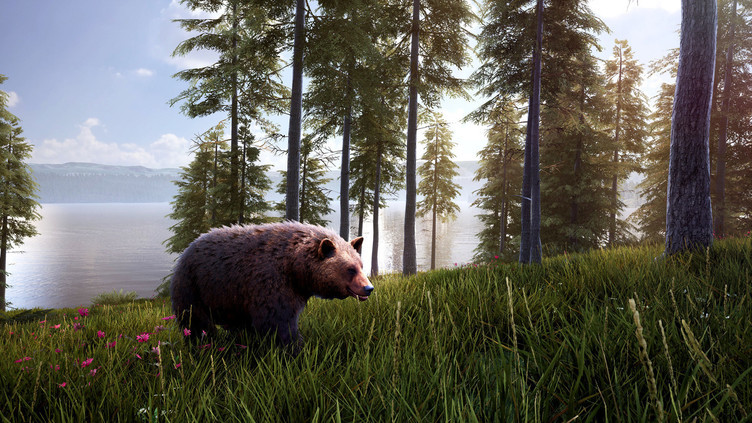 Hunting Simulator 2 Bear Hunter Pack Screenshot 3