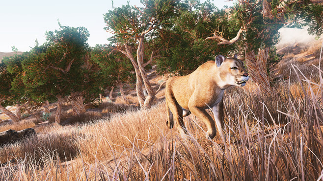 Hunting Simulator Screenshot 1