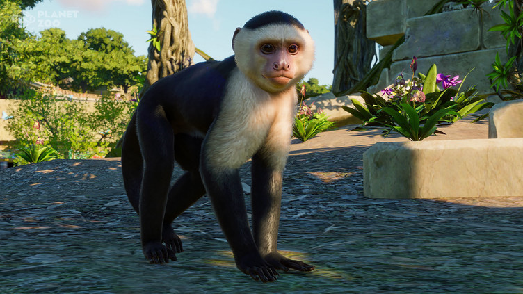 Planet Zoo: South America Pack  Screenshot 1