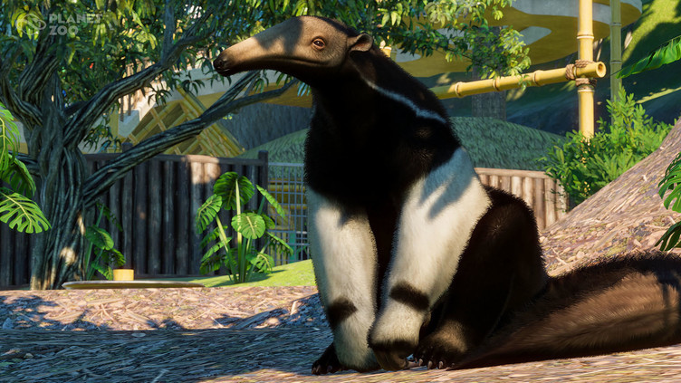 Planet Zoo: South America Pack  Screenshot 8
