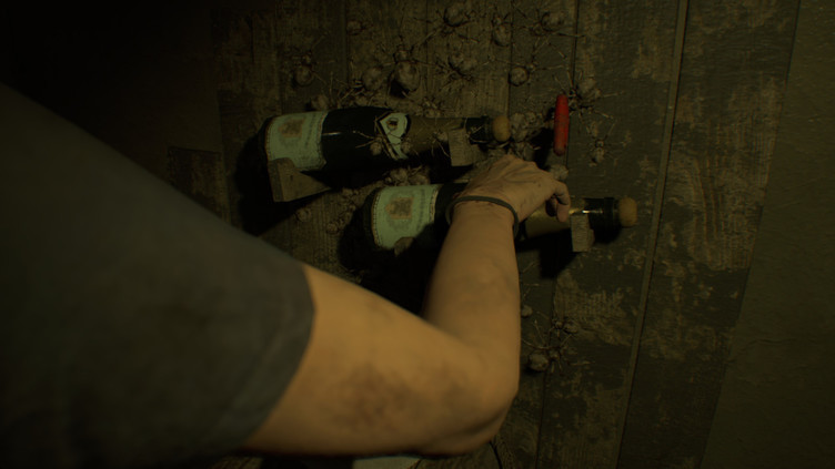 Resident Evil 7 Biohazard - Banned Footage Vol. 1 Screenshot 1