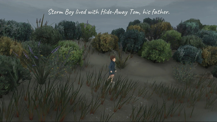 Storm Boy Screenshot 3