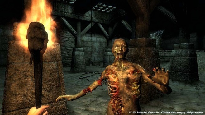 The Elder Scrolls IV: Oblivion Game of the Year Edition Screenshot 9