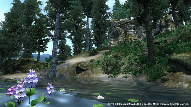 The Elder Scrolls IV: Oblivion Game of the Year Edition Screenshot 14