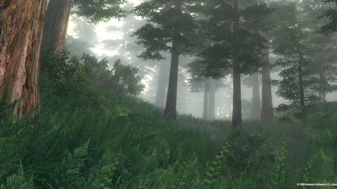 The Elder Scrolls IV: Oblivion Game of the Year Edition Screenshot 15