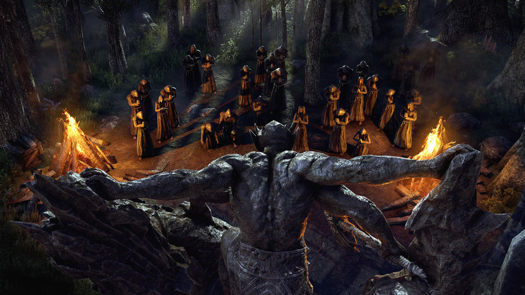 The Elder Scrolls Online Collection: Blackwood Screenshot 2