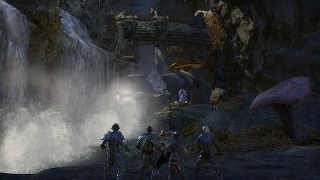 The Elder Scrolls Online: Morrowind Screenshot 2