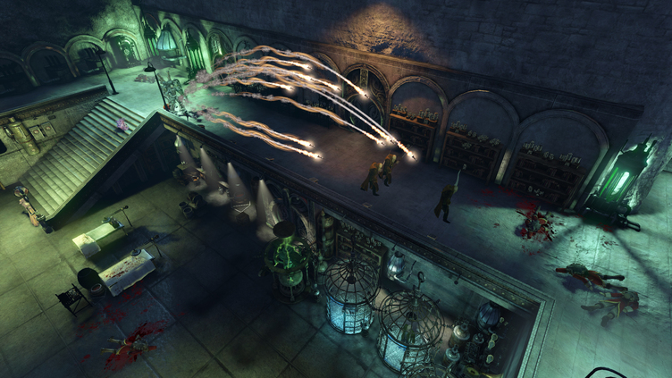 The Incredible Adventures of Van Helsing III Screenshot 1