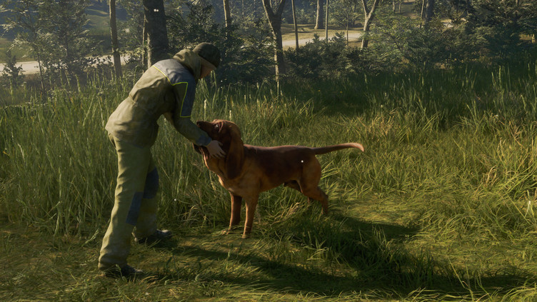theHunter: Call of the Wild™ - Bloodhound Screenshot 2
