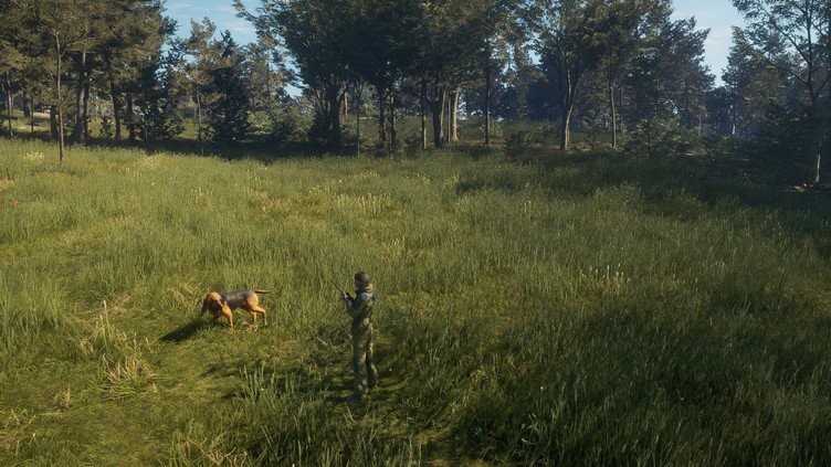 theHunter: Call of the Wild™ - Bloodhound Screenshot 3