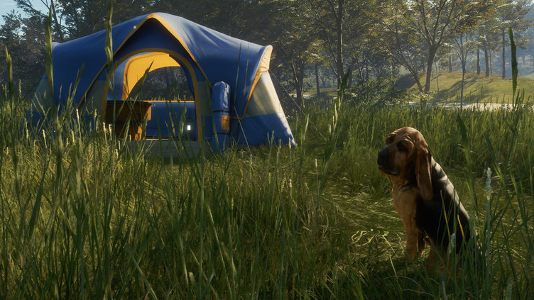 theHunter: Call of the Wild™ - Bloodhound Screenshot 7