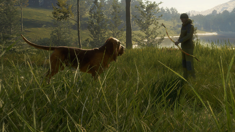theHunter: Call of the Wild™ - Bloodhound Screenshot 8