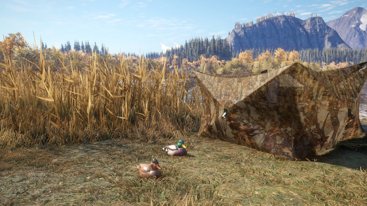 theHunter: Call of the Wild™ - Duck and Cover Pack Screenshot 3