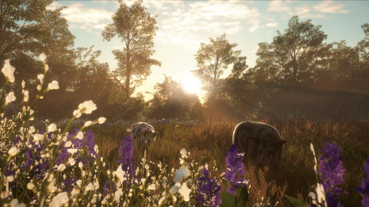 theHunter: Call of the Wild™ - Mississippi Acres Preserve Screenshot 2