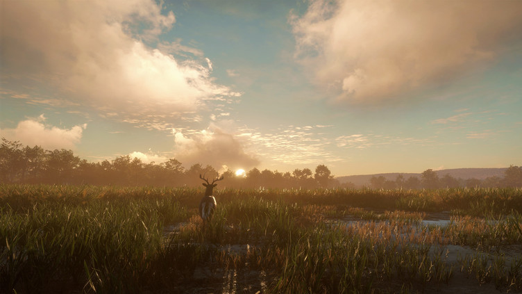 theHunter: Call of the Wild™ - Mississippi Acres Preserve Screenshot 8