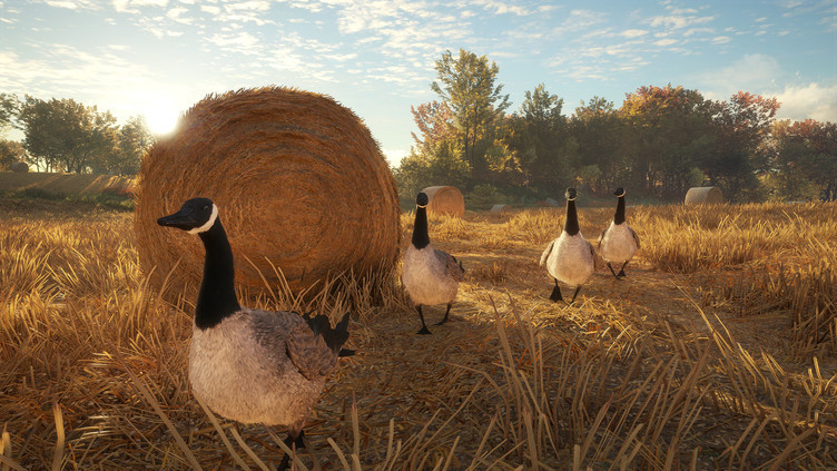 theHunter: Call of the Wild™ - Wild Goose Chase Gear Screenshot 2