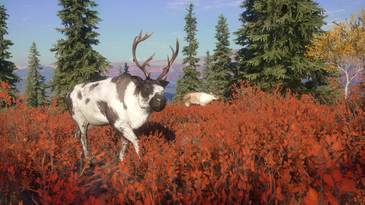 theHunter: Call of the Wild™ - Yukon Valley Screenshot 1