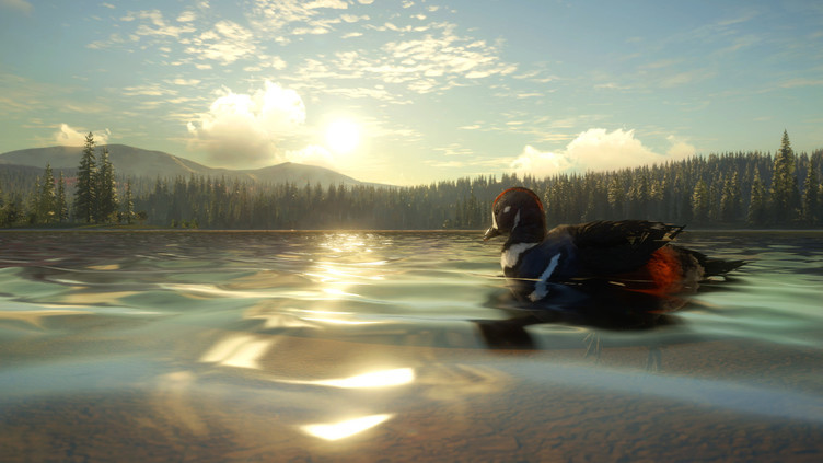 theHunter: Call of the Wild™ - Yukon Valley Screenshot 7