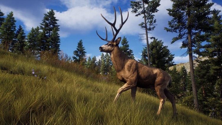 Way of the Hunter Elite Edition Screenshot 12
