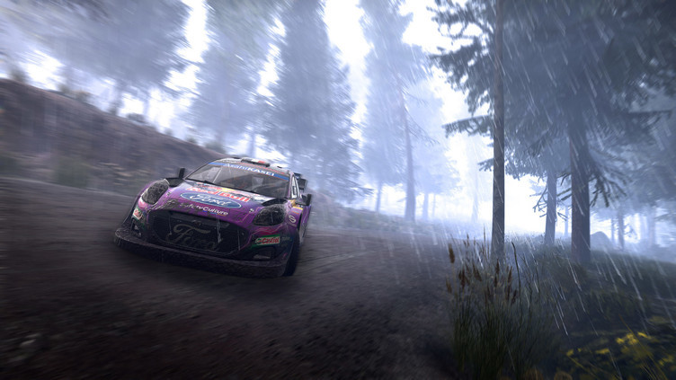 WRC Generations – The FIA WRC Official Game Screenshot 4